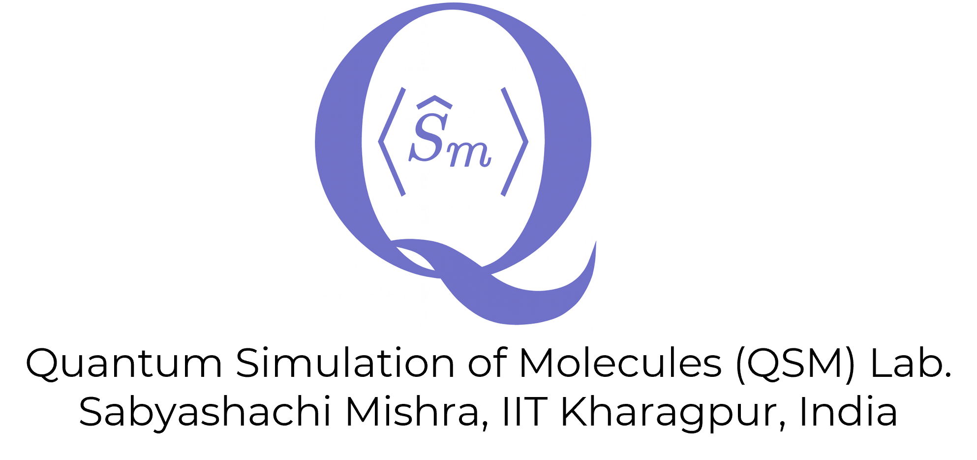 QSM Lab Logo
